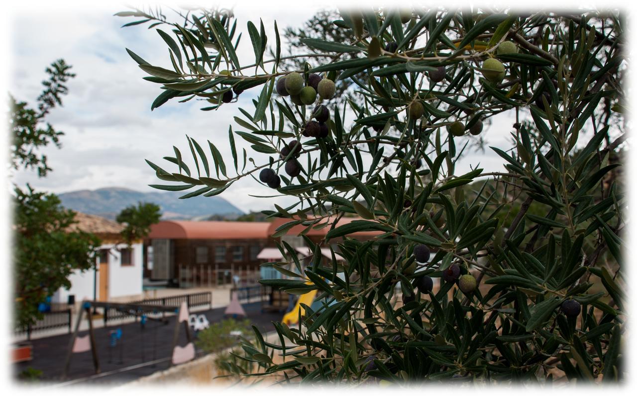 Hostal- Restaurante Estacion Via Verde Olvera Buitenkant foto